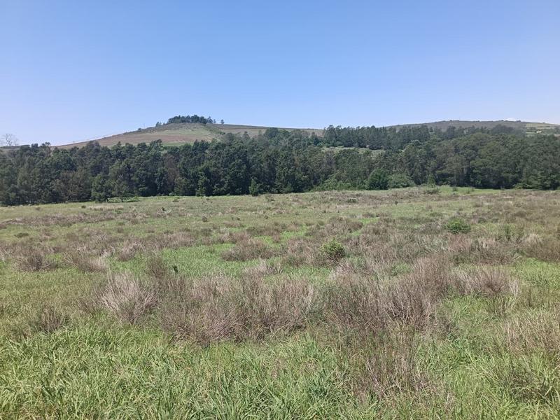 0 Bedroom Property for Sale in Albertinia Western Cape